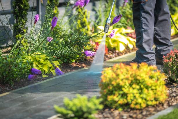 Best Warehouse Cleaning  in East Meadow, NY